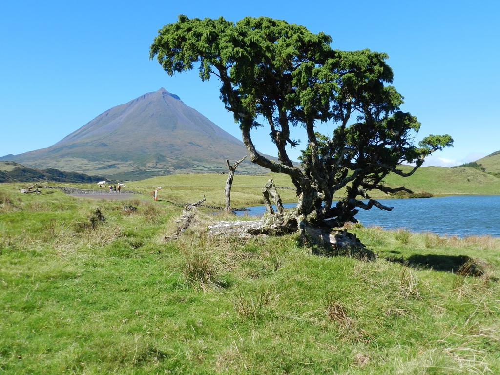 Adega Pedra Do Lagar Villa Calheta de Nesquim ภายนอก รูปภาพ